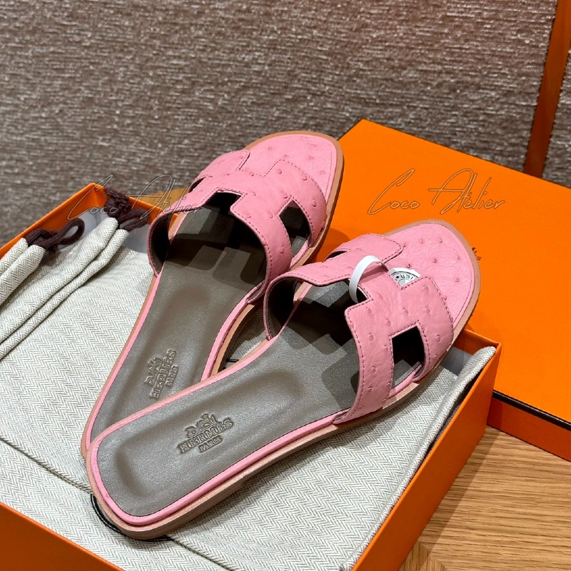 wsxc1778606740667_1.jpg