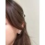 CHANEL 샤넬 cc 귀걸이
