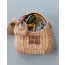 Miumiu Wander Rattan Bag