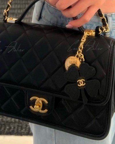 CHANEL 샤넬 25b backpack