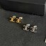 26cc Earrings