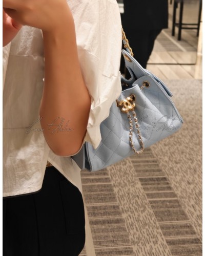 25 Mini Bag