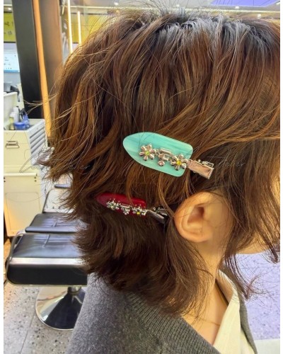 CH Hairpin Set