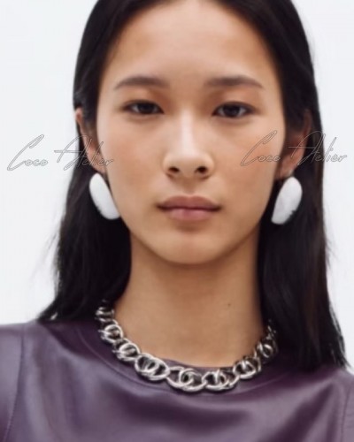 CC  Earrings(+2color)
