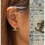 CC  Earrings