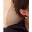 CC  Earrings